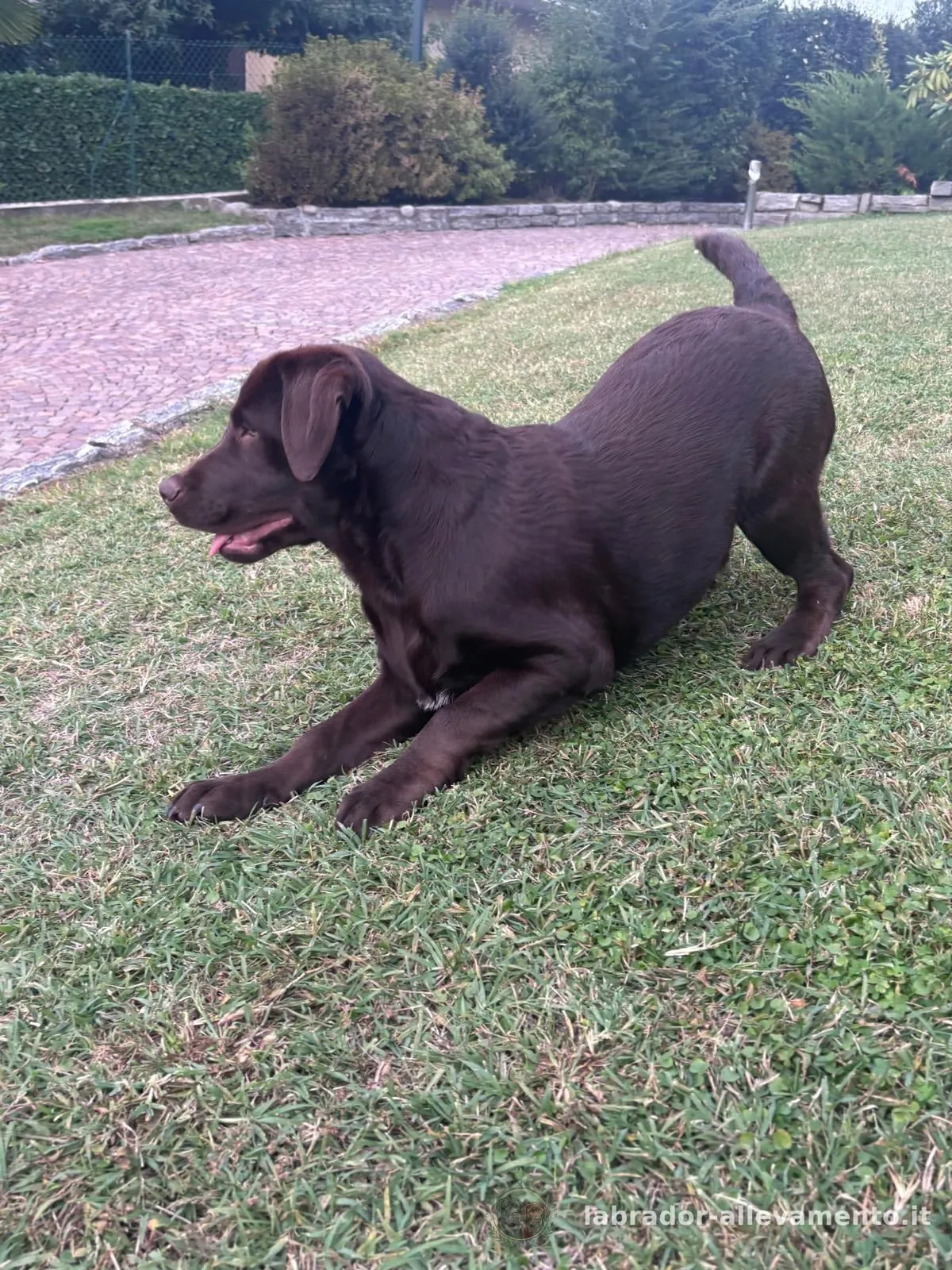 Nabucco — foto 1